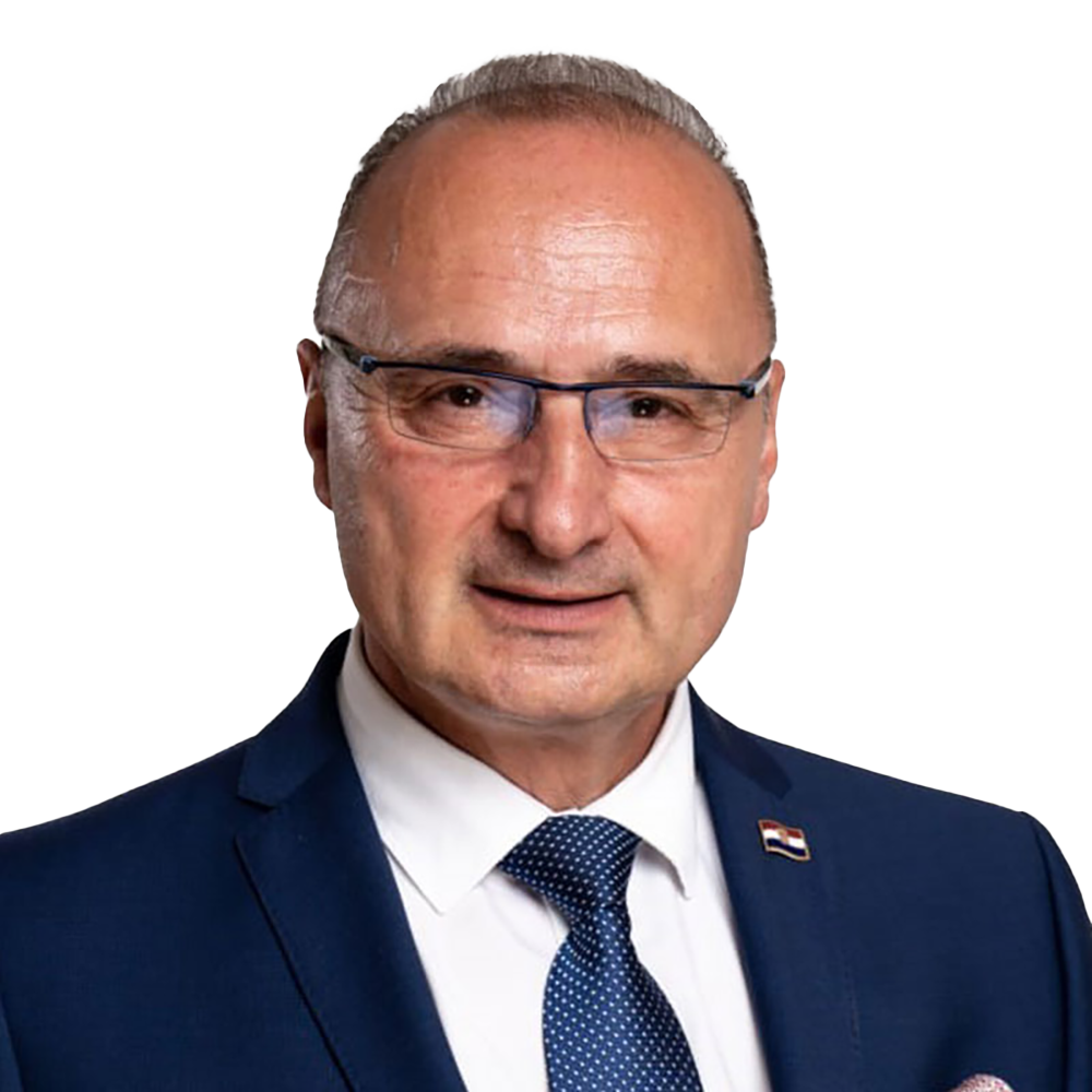 Gordan Grlić Radman