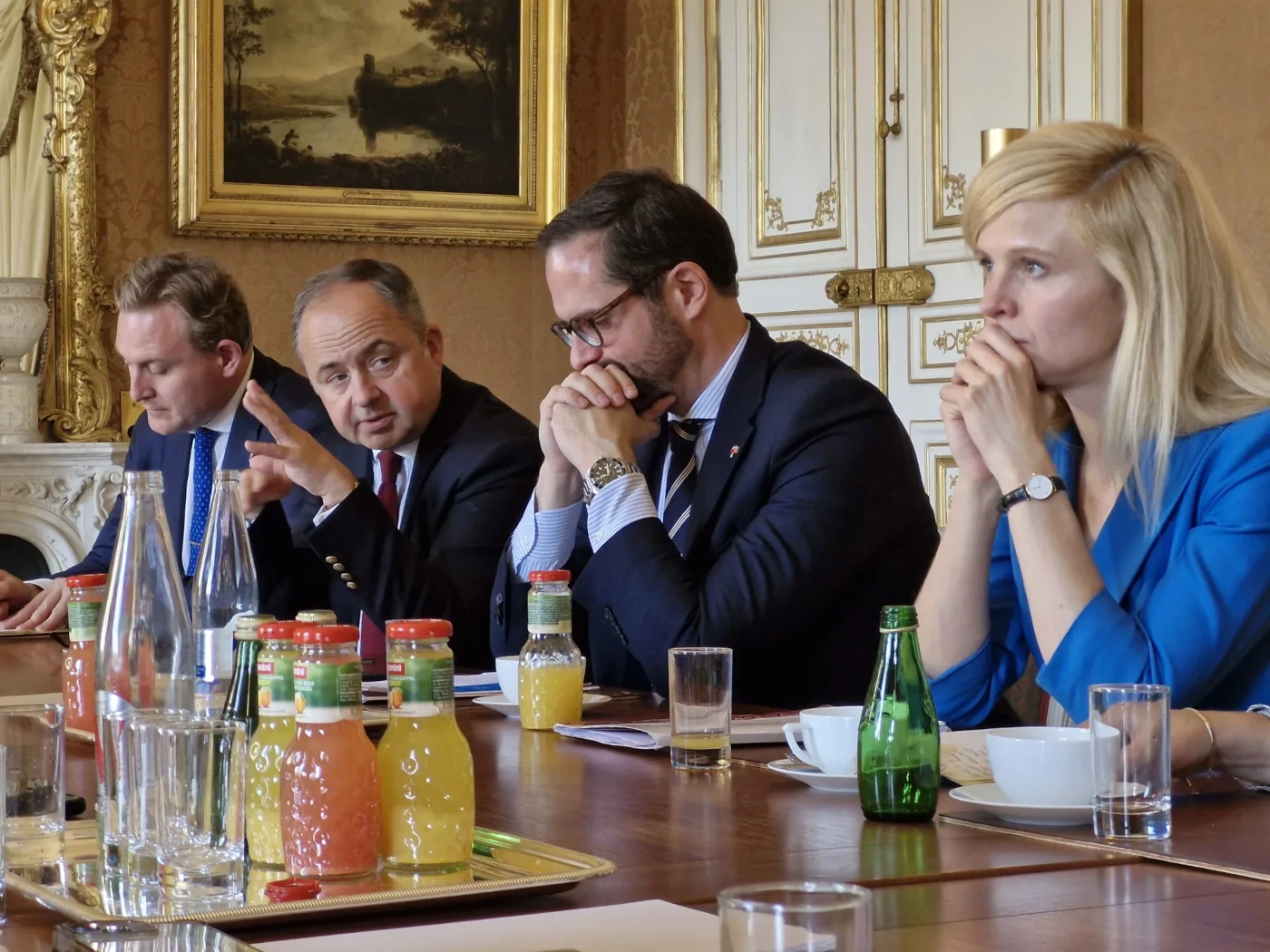 WSF Polish Cross-Party Delegation to Paris