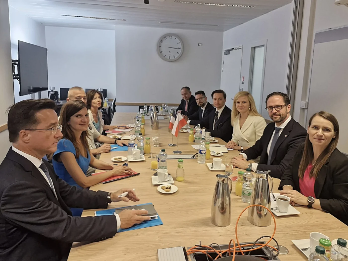 WSF Polish Cross-Party Delegation to Paris